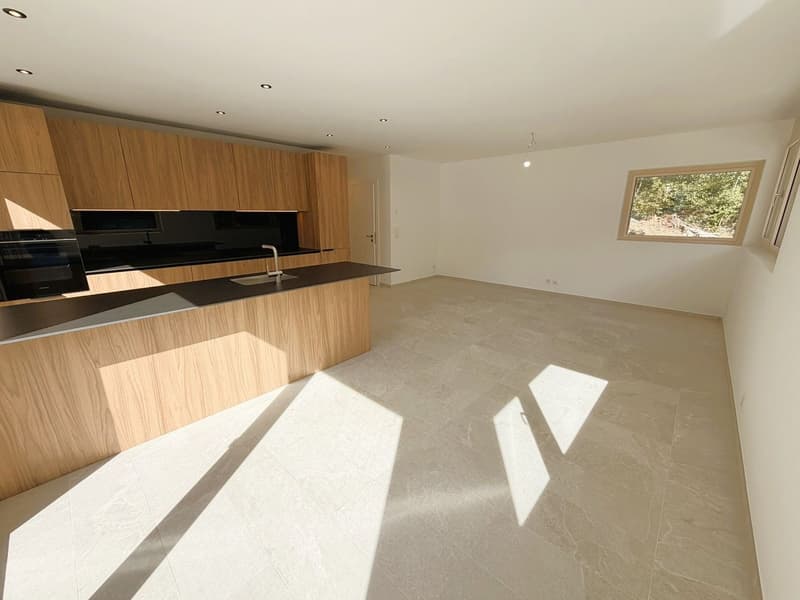 Chalet de 4.5 pces - Neuf - Très cosy - Spacieux et lumineux - Endroit très calme - Bien situé (3)