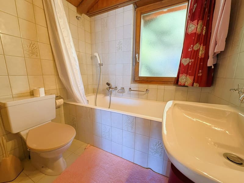Magnifique duplex de 4.5 pces - Spacieux et lumineux - Lieu très calme - Superbe vue - Bien situé (12)