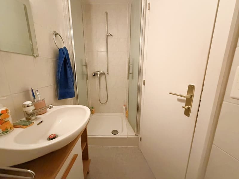 Magnifique loft de 2.5 pces - Très spacieux & très lumineux - Superbe vue - Lieu calme - Bien situé (12)