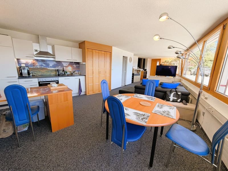 Magnifique loft de 2.5 pces - Très spacieux & très lumineux - Superbe vue - Lieu calme - Bien situé (7)