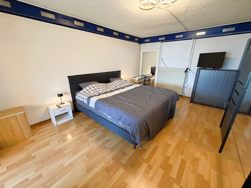 Magnifique loft de 2.5 pces - Très spacieux & très lumineux - Superbe vue - Lieu calme - Bien situé (9)