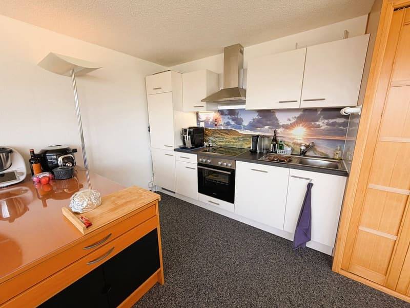 Magnifique loft de 2.5 pces - Très spacieux & très lumineux - Superbe vue - Lieu calme - Bien situé (6)