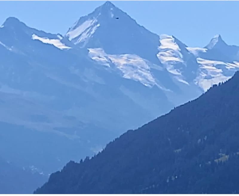 Wohnung mit 3.5 Zimmern und Panoramablick auf die Berge in Les Collons (5)