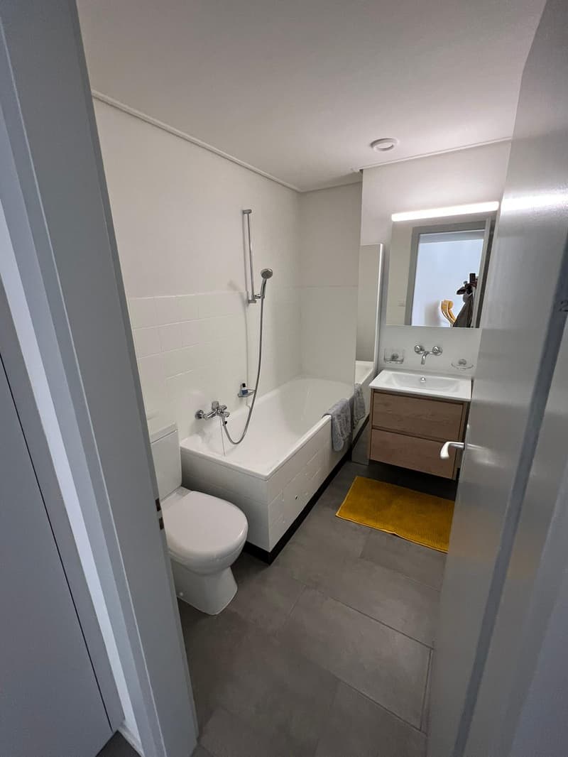 Appartement 2.5 pièces / SANS BALCON (3)