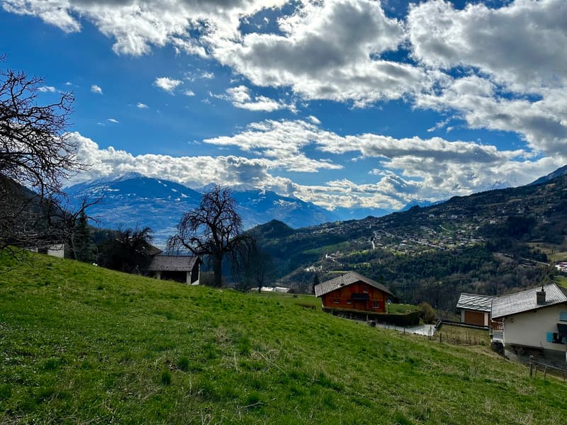 Raro! Grande parcelle con vista impareggiabile (2)