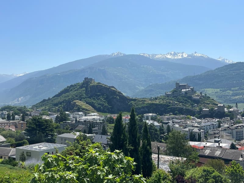 The most beautiful plot in Sion! (1)