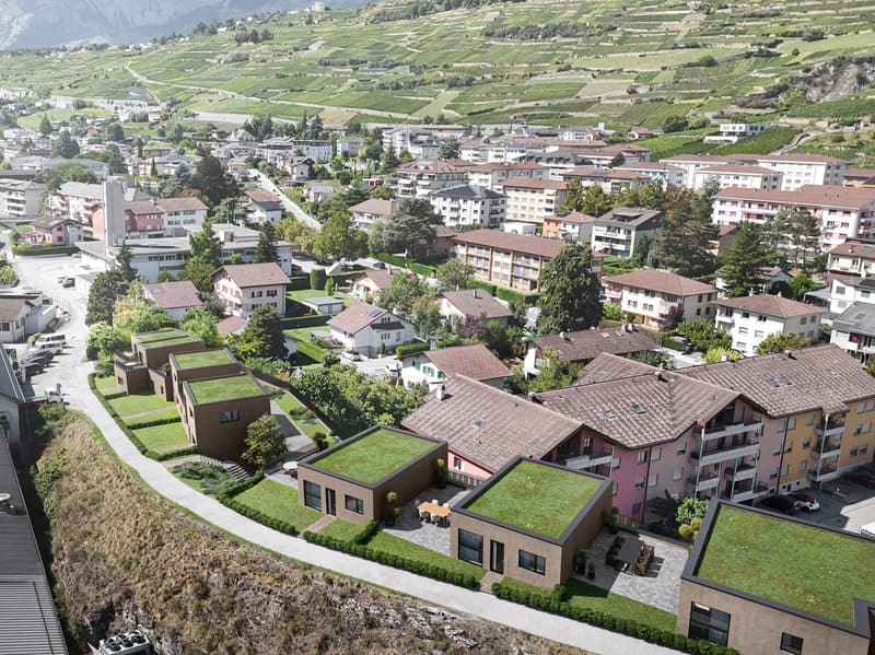 "ROCHER EN VILLE" 6 Ville di lusso nel cuore di Sion (6)