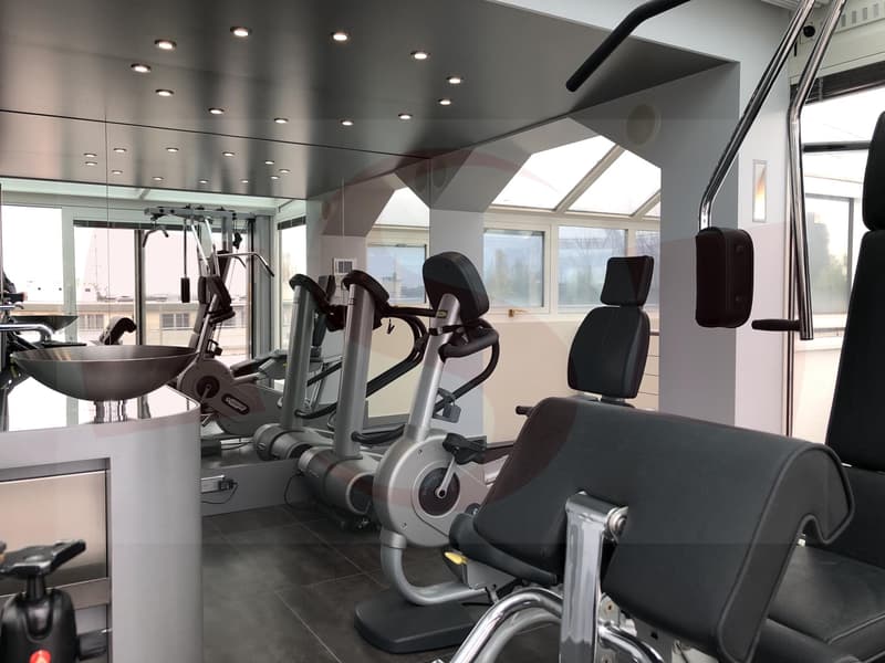 Unique Penthouse au centre ville (9)