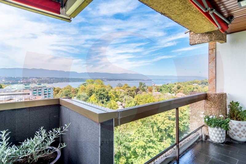 Exceptional apartment overlooking Geneva - Exclusivity (2)