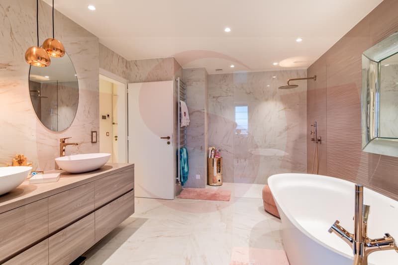 Exceptional apartment overlooking Geneva - Exclusivity (10)