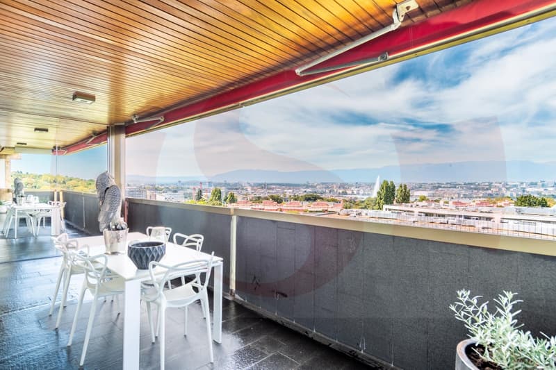 Exceptional apartment overlooking Geneva - Exclusivity (5)