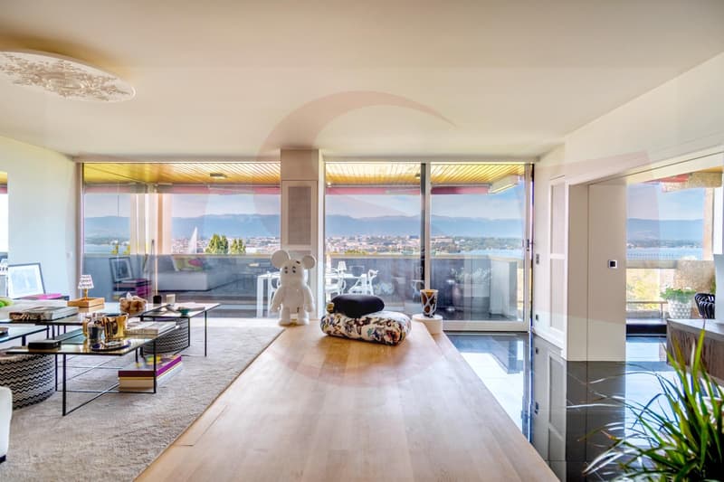Exceptional apartment overlooking Geneva - Exclusivity (4)