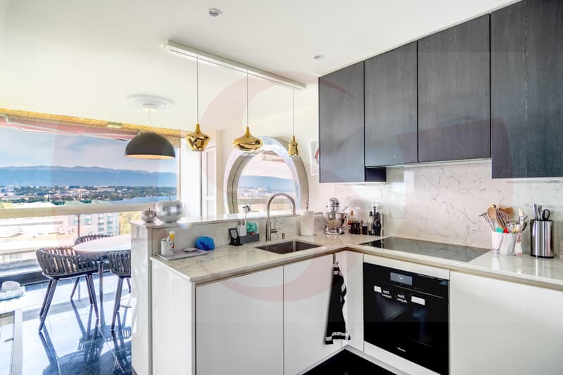 Exceptional apartment overlooking Geneva - Exclusivity (8)