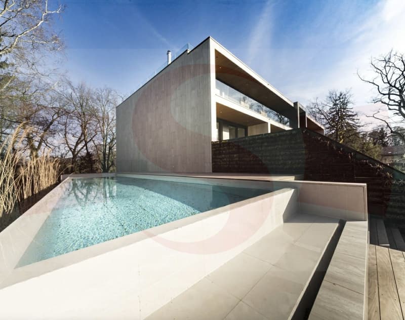 Magnificent Penthouse close to the center of Geneva (13)