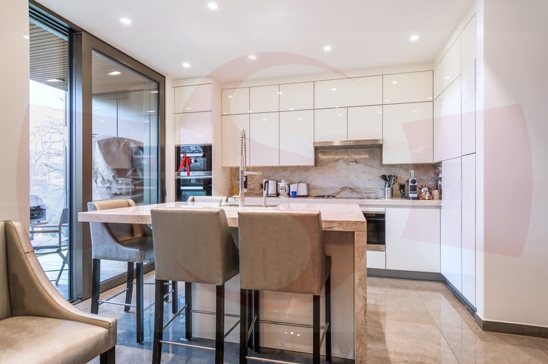 Magnificent Penthouse close to the center of Geneva (5)