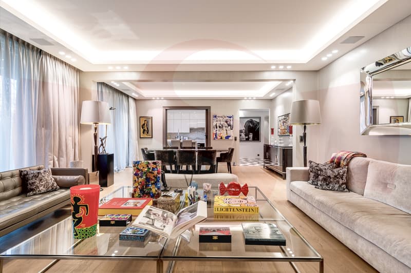 Magnificent Penthouse close to the center of Geneva (3)