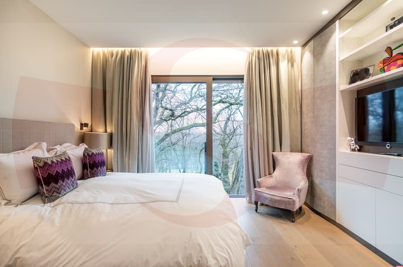 Magnificent Penthouse close to the center of Geneva (6)