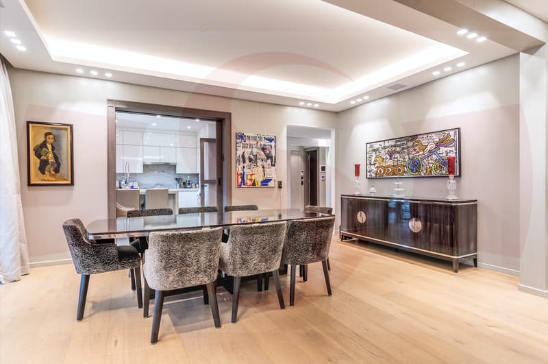 Magnificent Penthouse close to the center of Geneva (4)