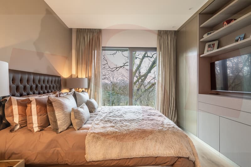 Magnificent Penthouse close to the center of Geneva (9)