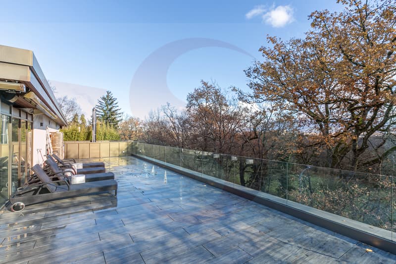 Magnificent Penthouse close to the center of Geneva (12)
