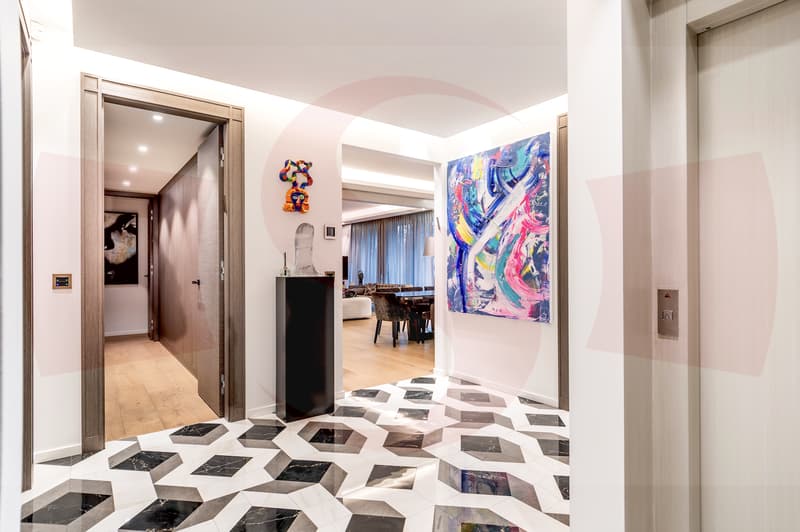 Magnificent Penthouse close to the center of Geneva (1)