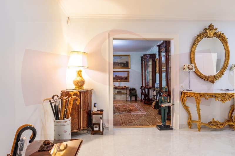 Bello appartamento di 6 locali in affitto non ammobiliato (5)