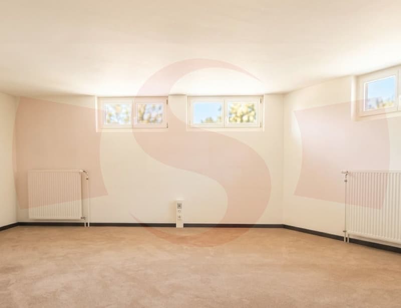 Commercial premises (2)