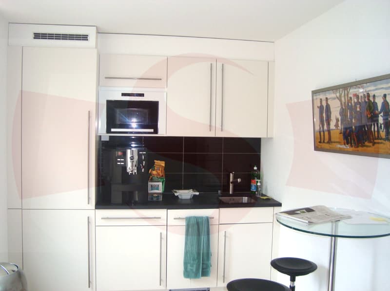Commercial premises (4)