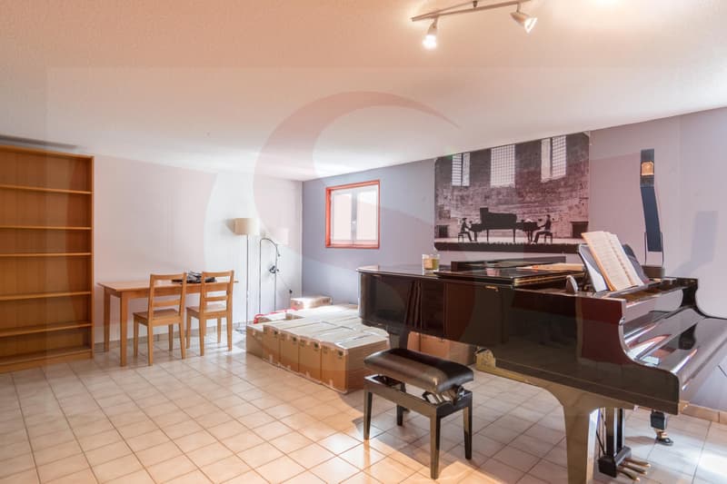 Très jolie villa mitoyenne à 10 minutes de Carouge (11)