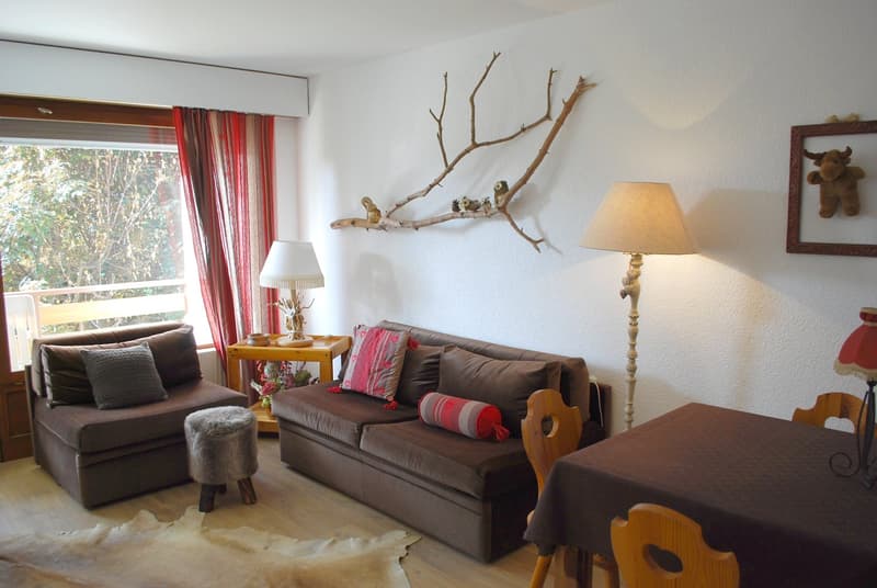 Charming studio for rent in Crans-Montana (2)