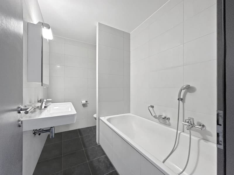 Spacious ground floor apartment with 5.5 rooms in Martigny (7)