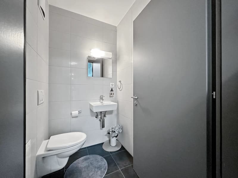 Spacious ground floor apartment with 5.5 rooms in Martigny (12)