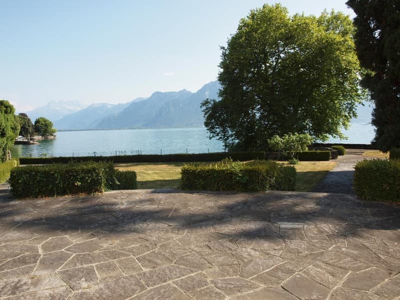 Propriété d'exception pied dans l'eau proche de Montreux (8)