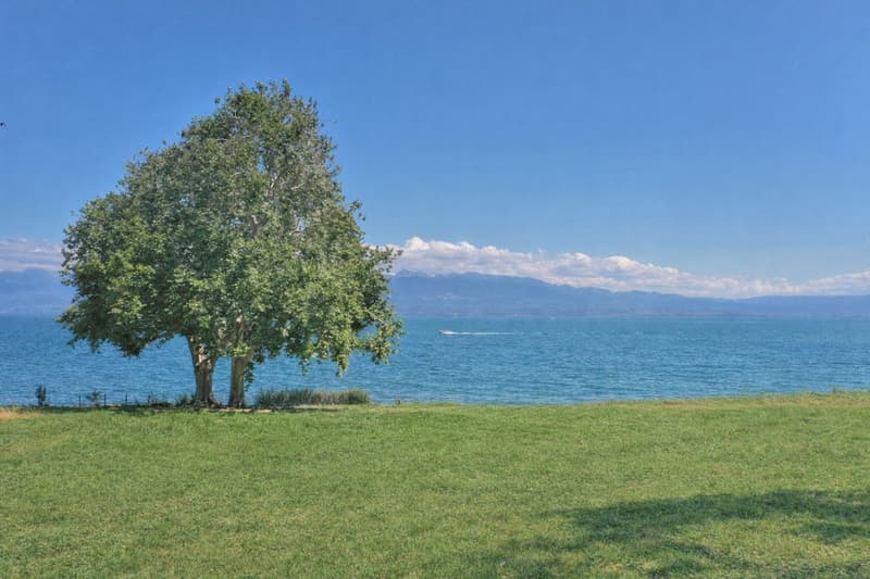 Projet d'une luxueuse villa contemporaine pied dans l'eau,  Rolle (5)