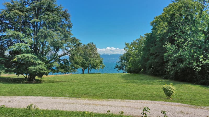 Projet d'une luxueuse villa contemporaine pied dans l'eau,  Rolle (6)