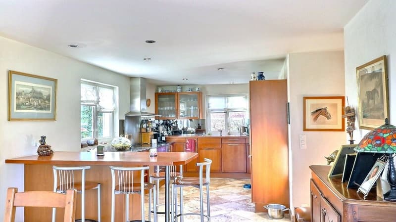 Rare propriété équestre, à 20 minutes de Vevey (12)