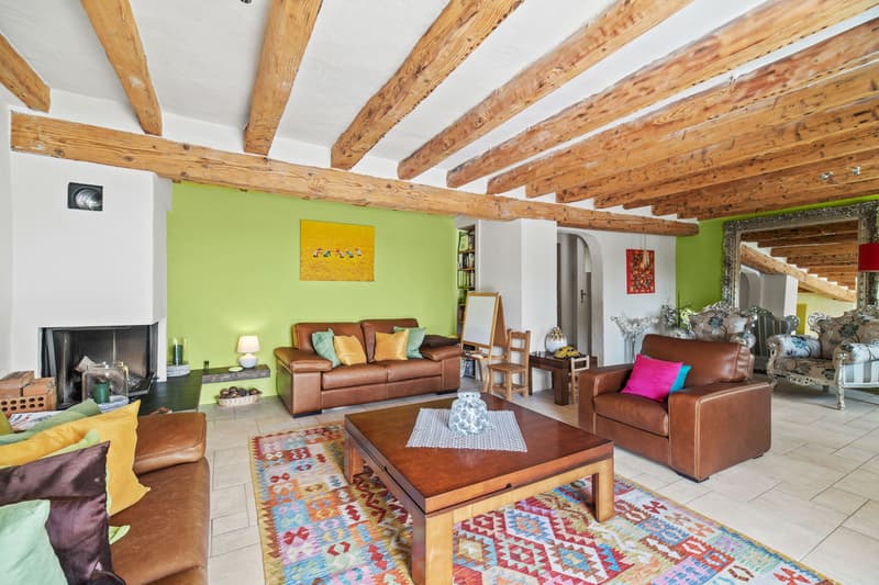 Propriété de charme avec 3 logements sur une belle parcelle à Giez (5)