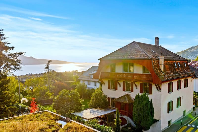 Belle maison vigneronne rénovée au coeur de St-Légier (5)