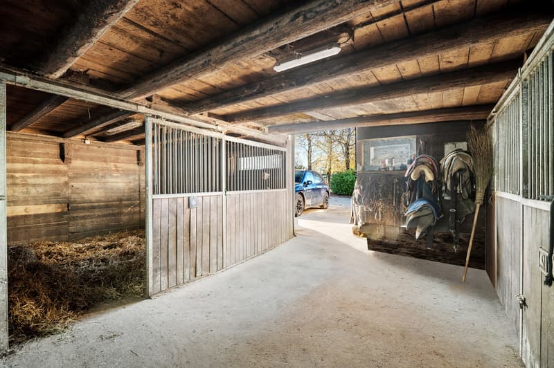 Rare propriété équestre à fort potentiel proche de Lausanne (9)