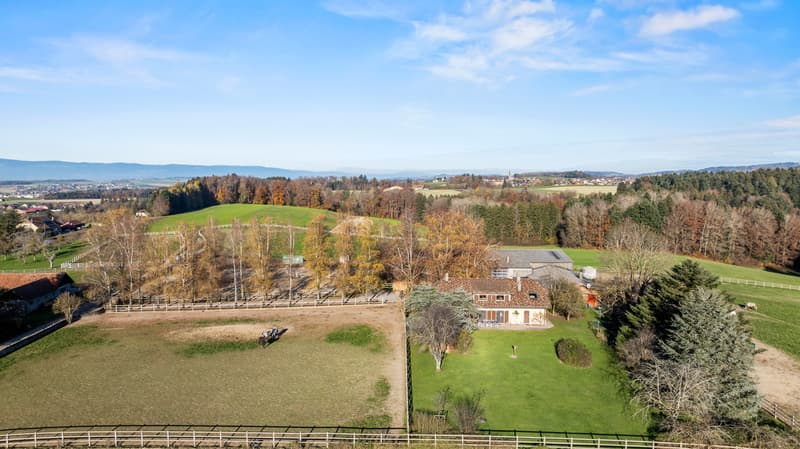 Rare propriété équestre à fort potentiel proche de Lausanne (3)