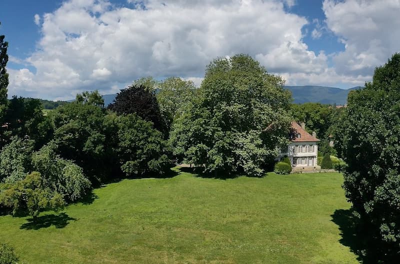 Superbe propriété nichée dans un parc avec piscine proche de Morges (12)