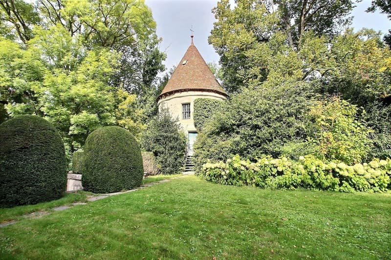 Superbe propriété nichée dans un parc avec piscine proche de Morges (10)