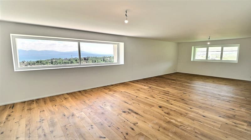 Appartement rénové en duplex avec vue sur le lac proche de Rolle (3)