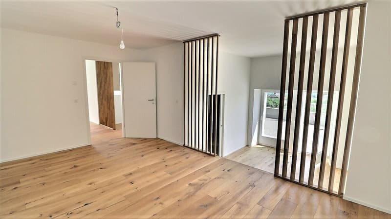 Appartement rénové en duplex avec vue sur le lac proche de Rolle (7)