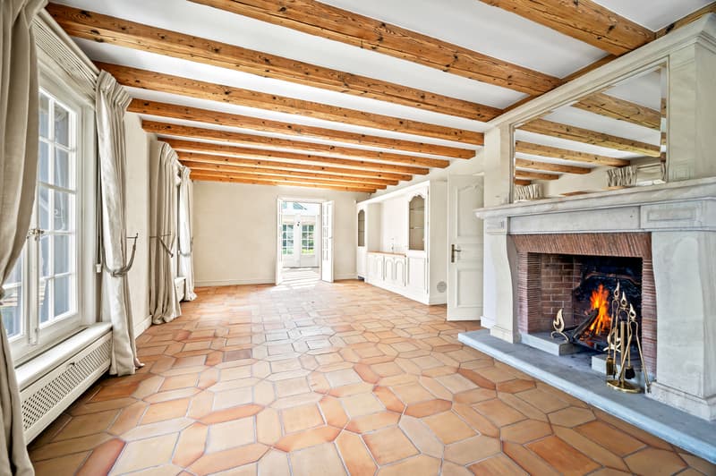 Magnifique domaine familial proche de Lausanne (8)