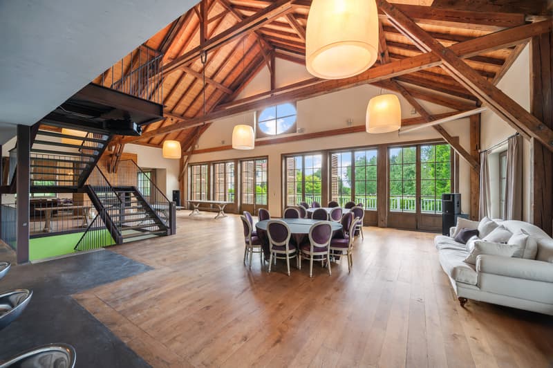 Magnifique domaine familial proche de Lausanne (10)