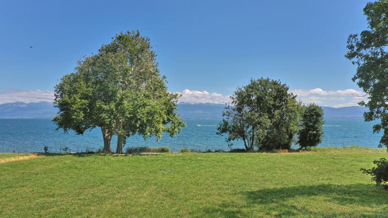 Superbe parcelle de 6 500 m2 pied dans l'eau, Rolle (2)