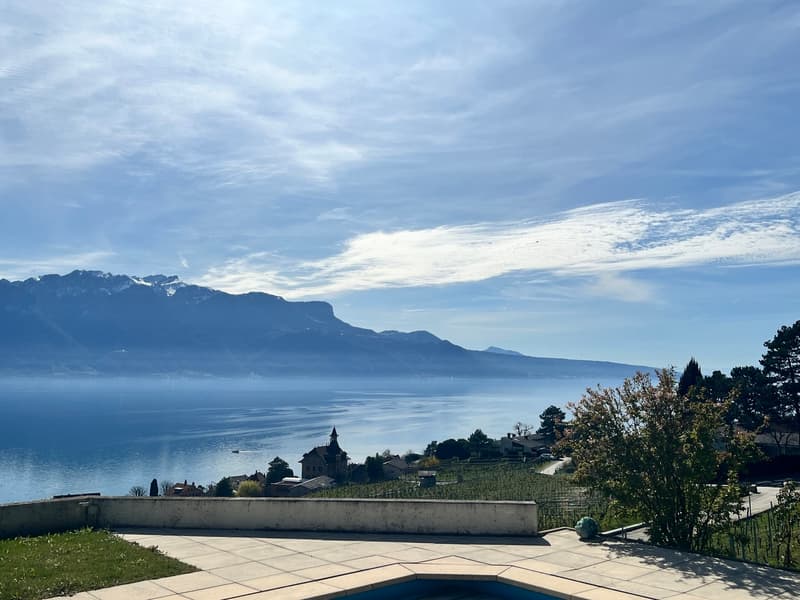 Villa au coeur des vignes, vue spectaculaire - Corseaux (4)
