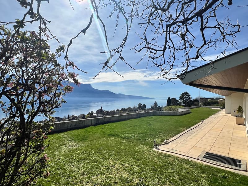 Villa au coeur des vignes, vue spectaculaire - Corseaux (2)