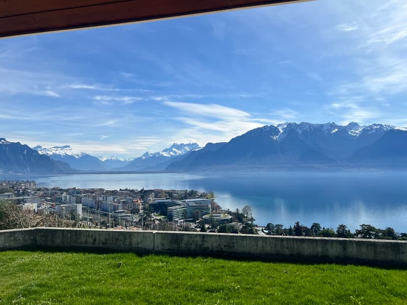Villa au coeur des vignes, vue spectaculaire - Corseaux (6)